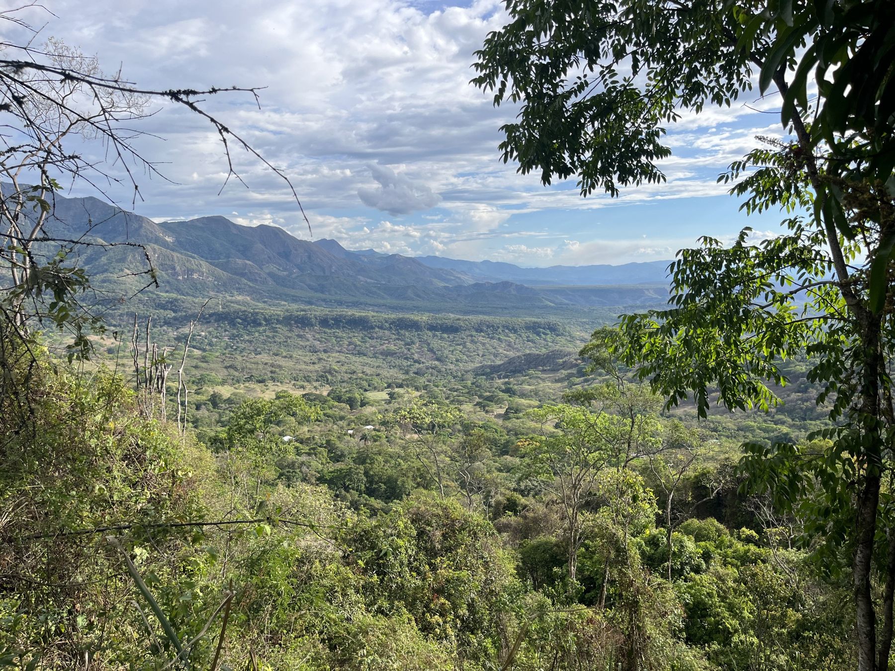 Vista al valle y a las montañas desde la parte alta de la finca Agua y Vistas, en Nilo