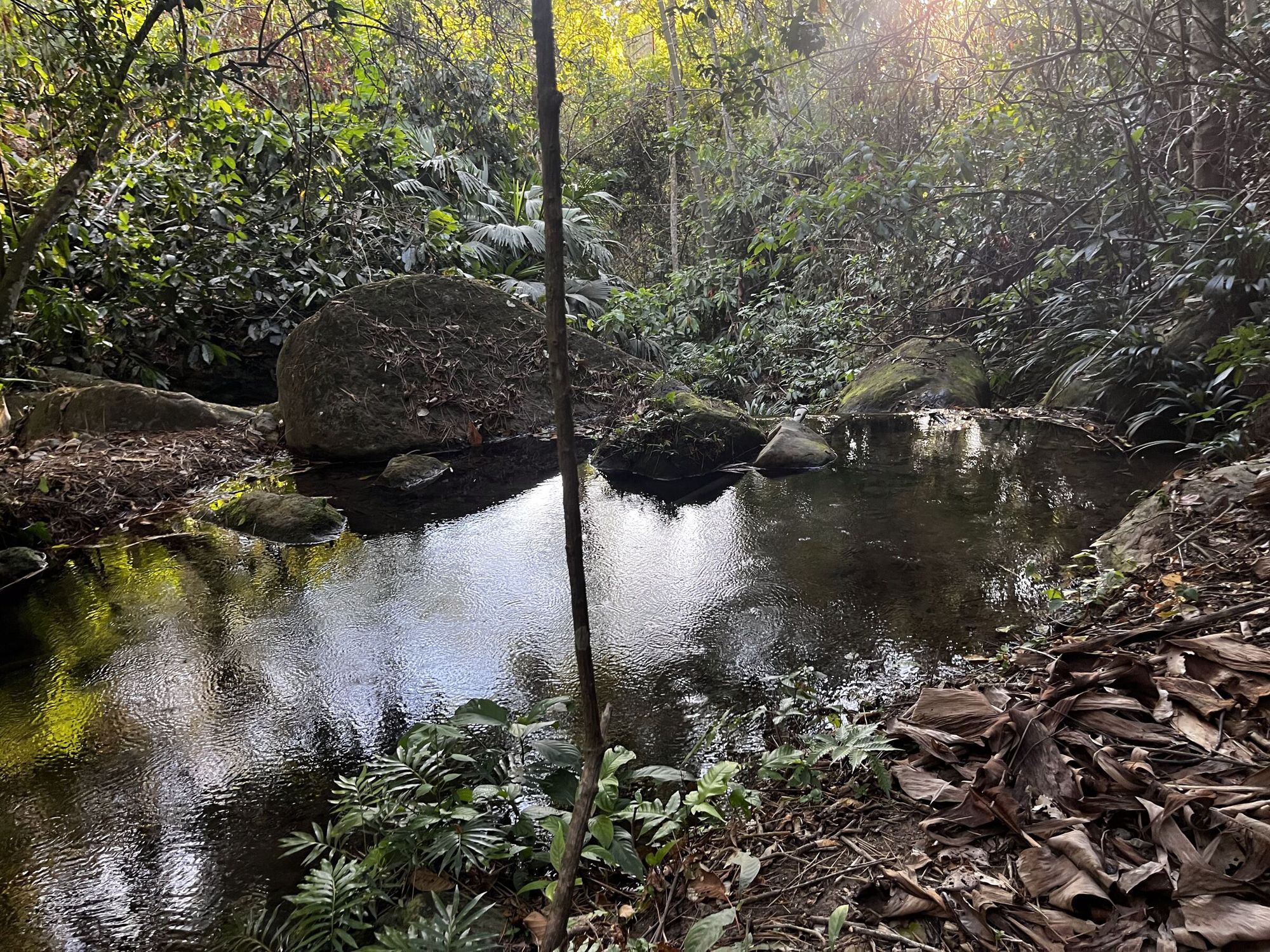 Poza de agua clara entre rocas y bosque