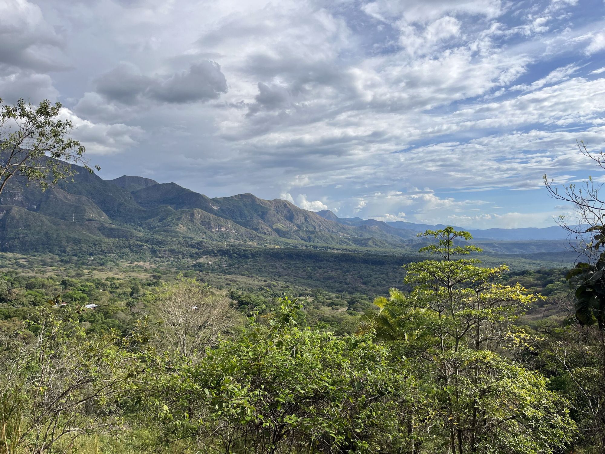 Valle verde de montaña en Nilo, Cundinamarca, con nubes bajas sobre el bosque